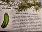 Preview: Gurke, Weihnachtsgurke 10cm