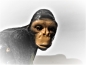 Preview: glitter ball monkey