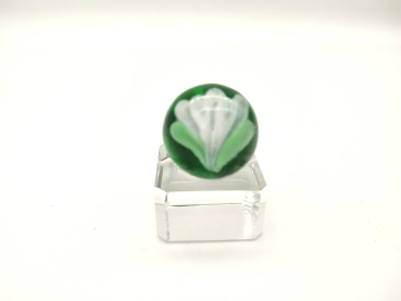 Crocus 16mm - green