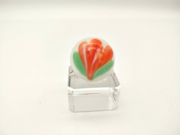 Crocus 16mm - orange