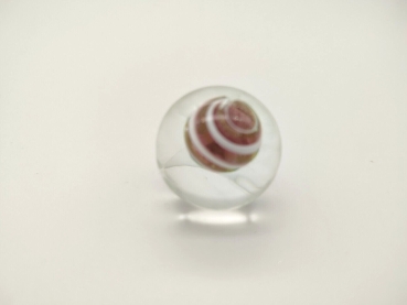 Bumblebee 25mm - Brown/White