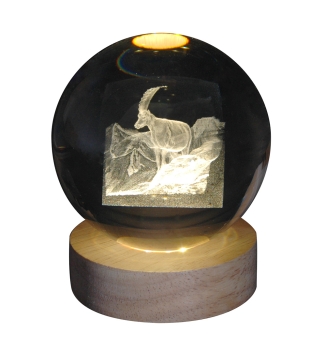 Hologram ball - Capricorn