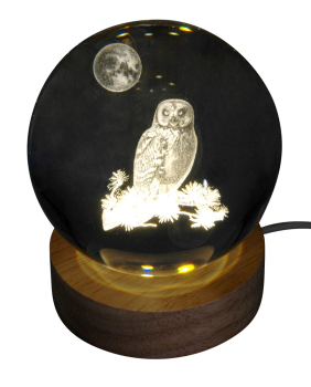 Hologram ball - Owl