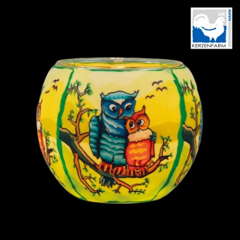 Luminous glass - owls by day