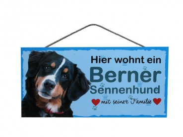 Berner Sennenhund