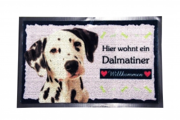 Dalmatiner