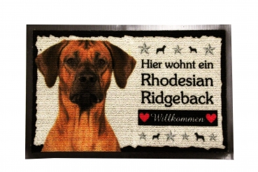 Rhodesian Ridgeback