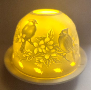 Dome-Light - birds