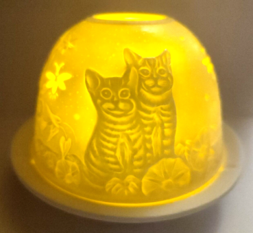 Dome-Light - kitten
