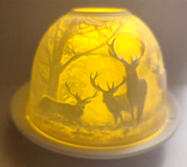 Dome-Light - deer in the forest