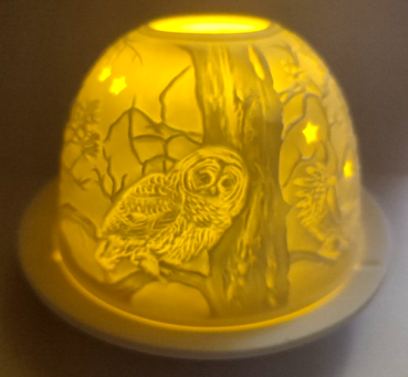 Dome light - owls