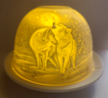 Dome-Light - wolves at night