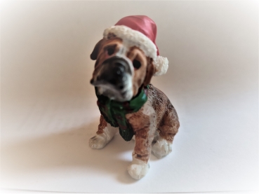 Hund mit Weihnachtsmütze - dunkelbraun