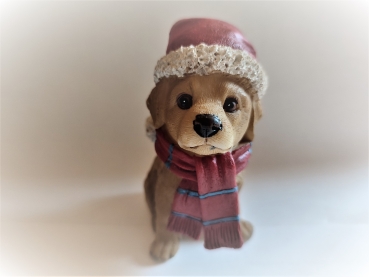 Hund mit Weihnachtsmütze - Labrador