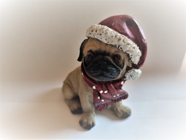 Hund mit Weihnachtsmütze - Mops