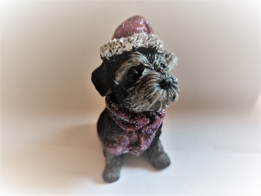 Hund mit Weihnachtsmütze - Schnauzer