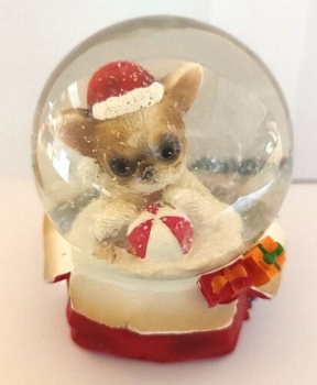 Snow globe dog with ball