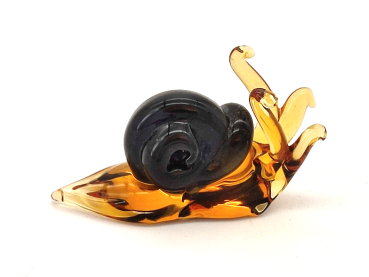 snail black