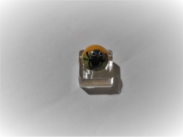 Spider 22mm