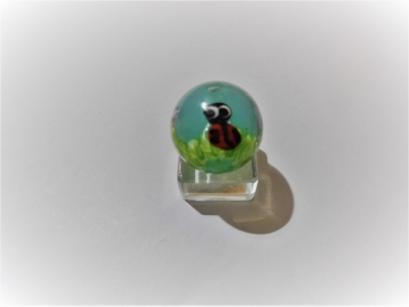 Ladybug 16mm