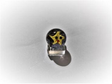Starfish 22mm