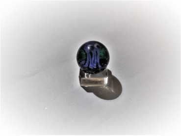 Octopus 16mm
