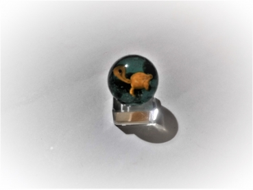Turtle 16mm
