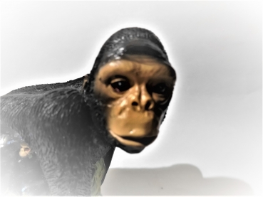 glitter ball monkey