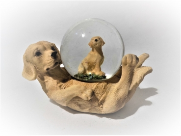 Glitter ball dog, labrador