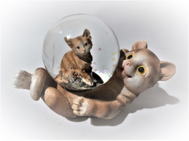 glitter ball cat