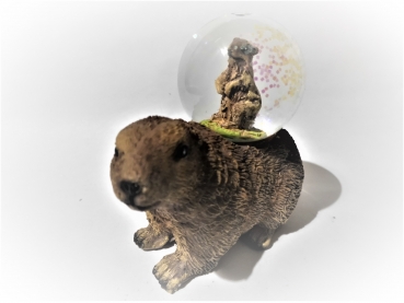 Marmot glitter ball