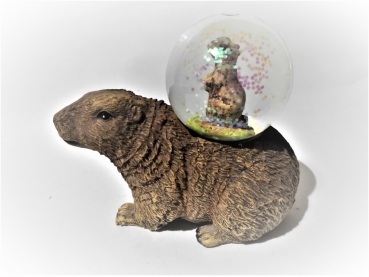 Marmot glitter ball