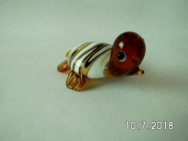 Turtle - brown-white