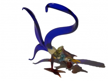 Rooster with blue feathers in a gift box