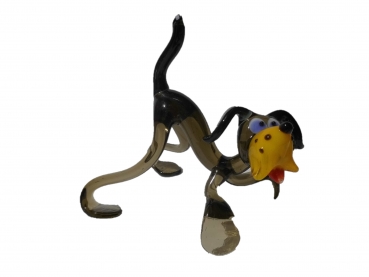 dog dark