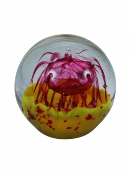 paperweight 228