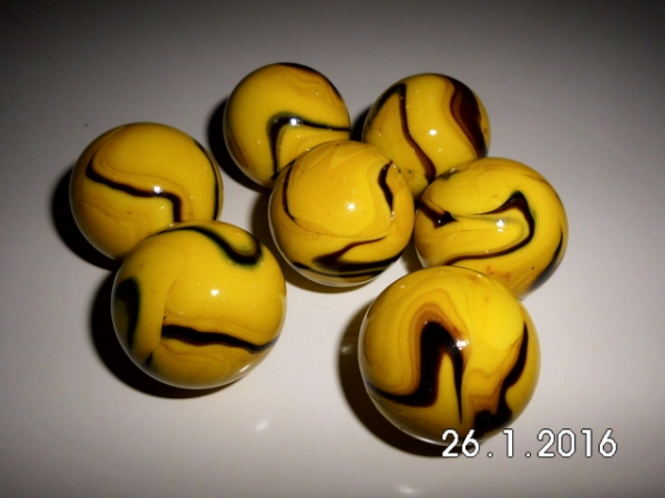Bumblebee 35mm