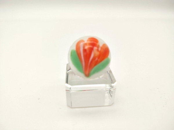Crocus 16mm - orange