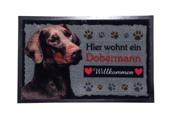 Dobermann