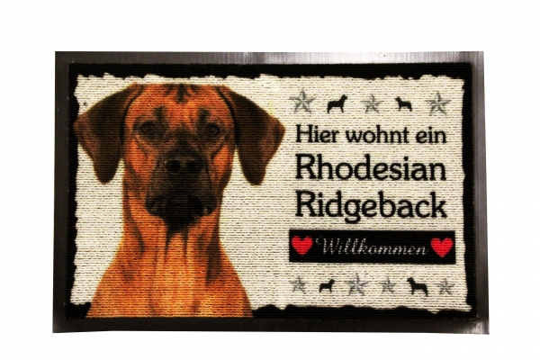 Rhodesian Ridgeback