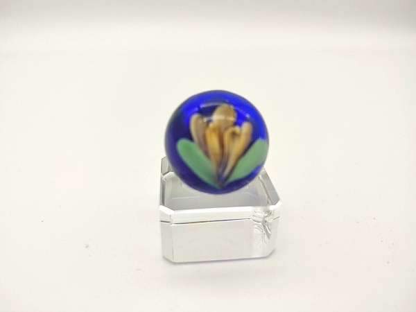 Crocus 22mm - blue