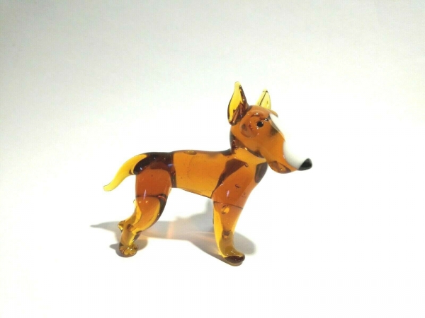 Dog - Pitbull Terrier - D