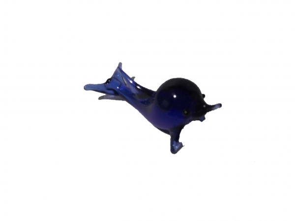 dolphin blue