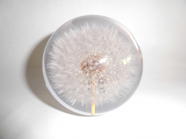 Paperweight - motif dandelion 85mm acrylic glass