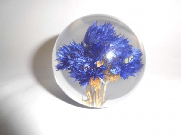 Paperweight - motif cornflower acrylic glass - 85mm