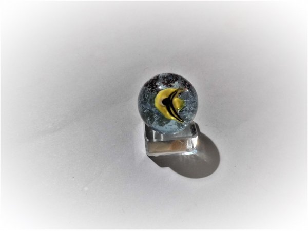 Fish 22mm