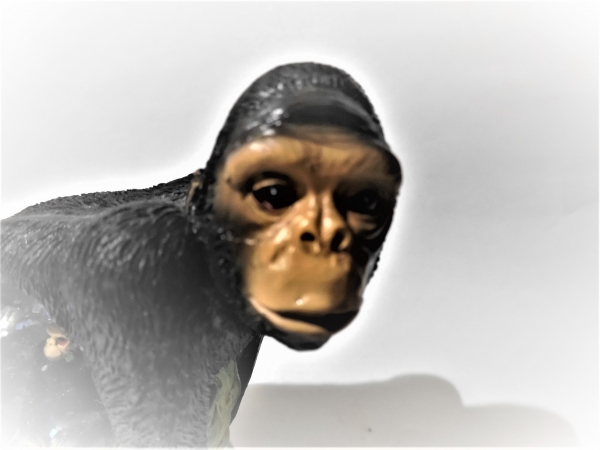glitter ball monkey