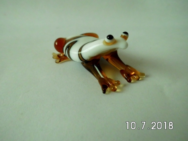 Frog - brown-white