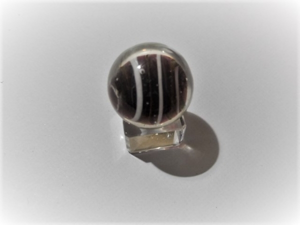 Bumblebee 25mm - Brown/White, big