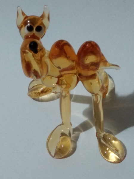 camel